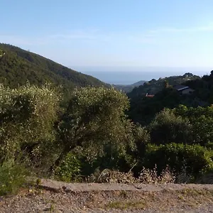 La Porta Del Sole Nell'oliveto Appartamento